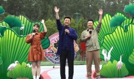 何穗最新爆料新闻视频,揭秘时尚界背后的故事