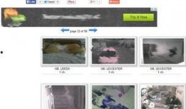 中俄最新爆料视频,两国合作新动向与战略布局